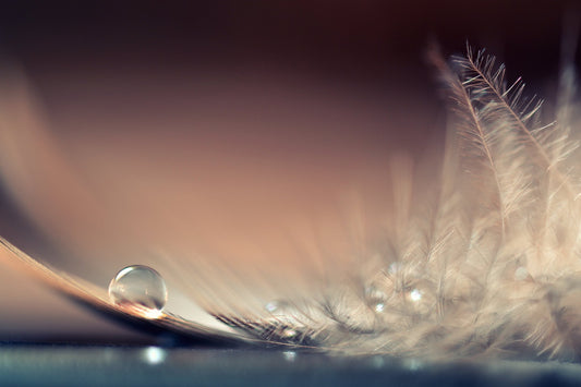 Stories of Drops - Poster / Art Print