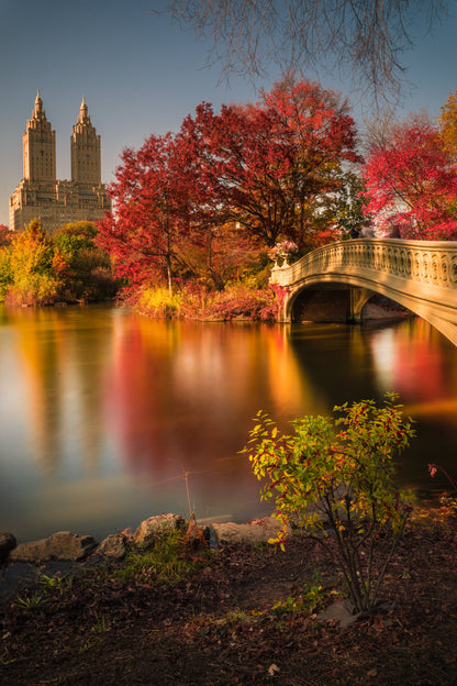 Fall in Central Park - Poster / Art Print