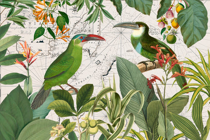Parrots Nostalgic Journey 3 - Poster / Art Print
