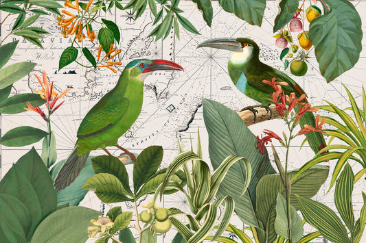 Parrots Nostalgic Journey 3 - Poster / Art Print