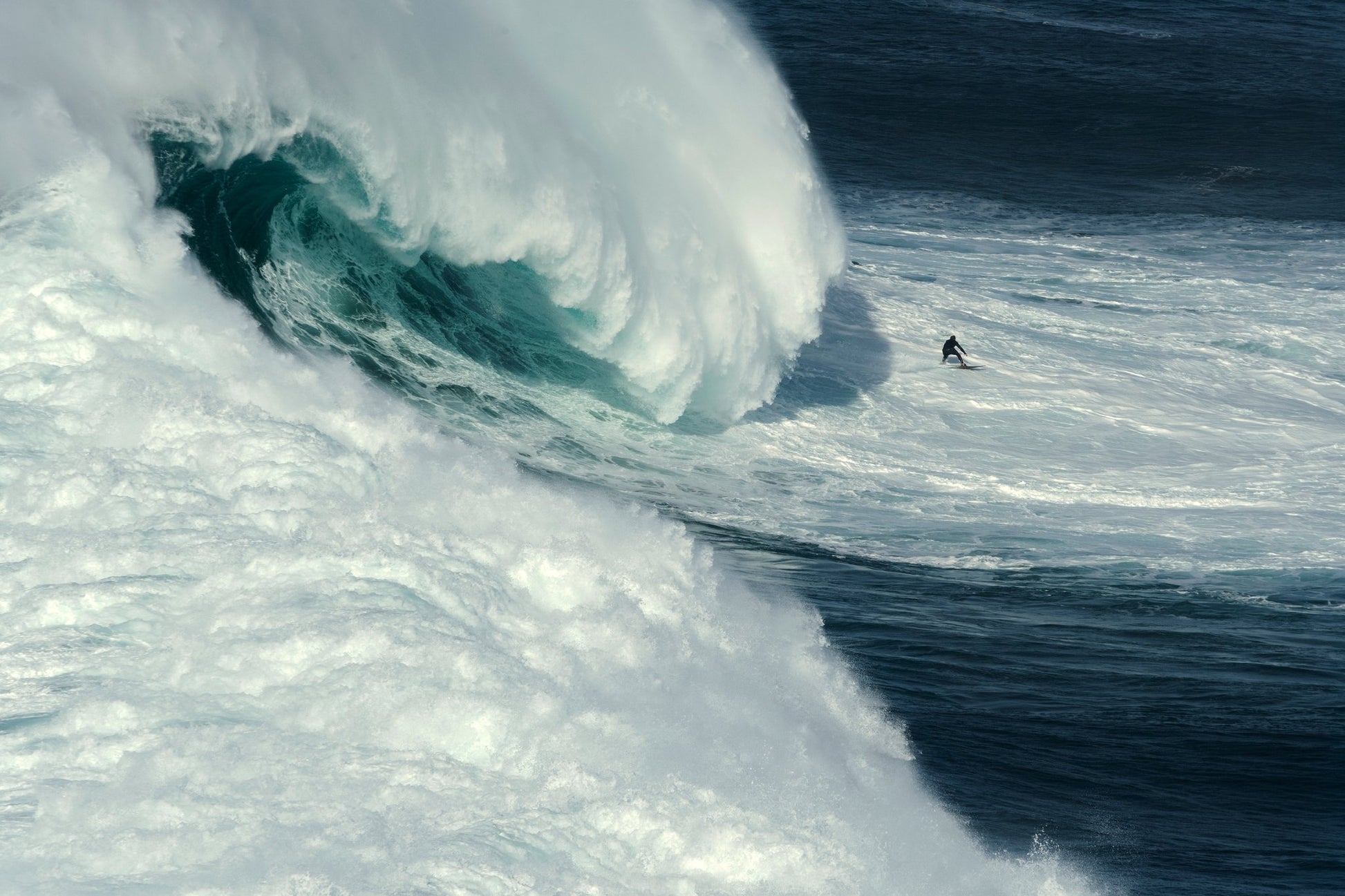 Nazaré North Canyon - Poster / Art Print