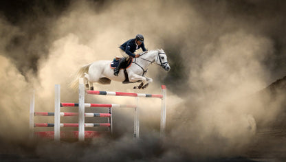 White horse - Poster / Art Print