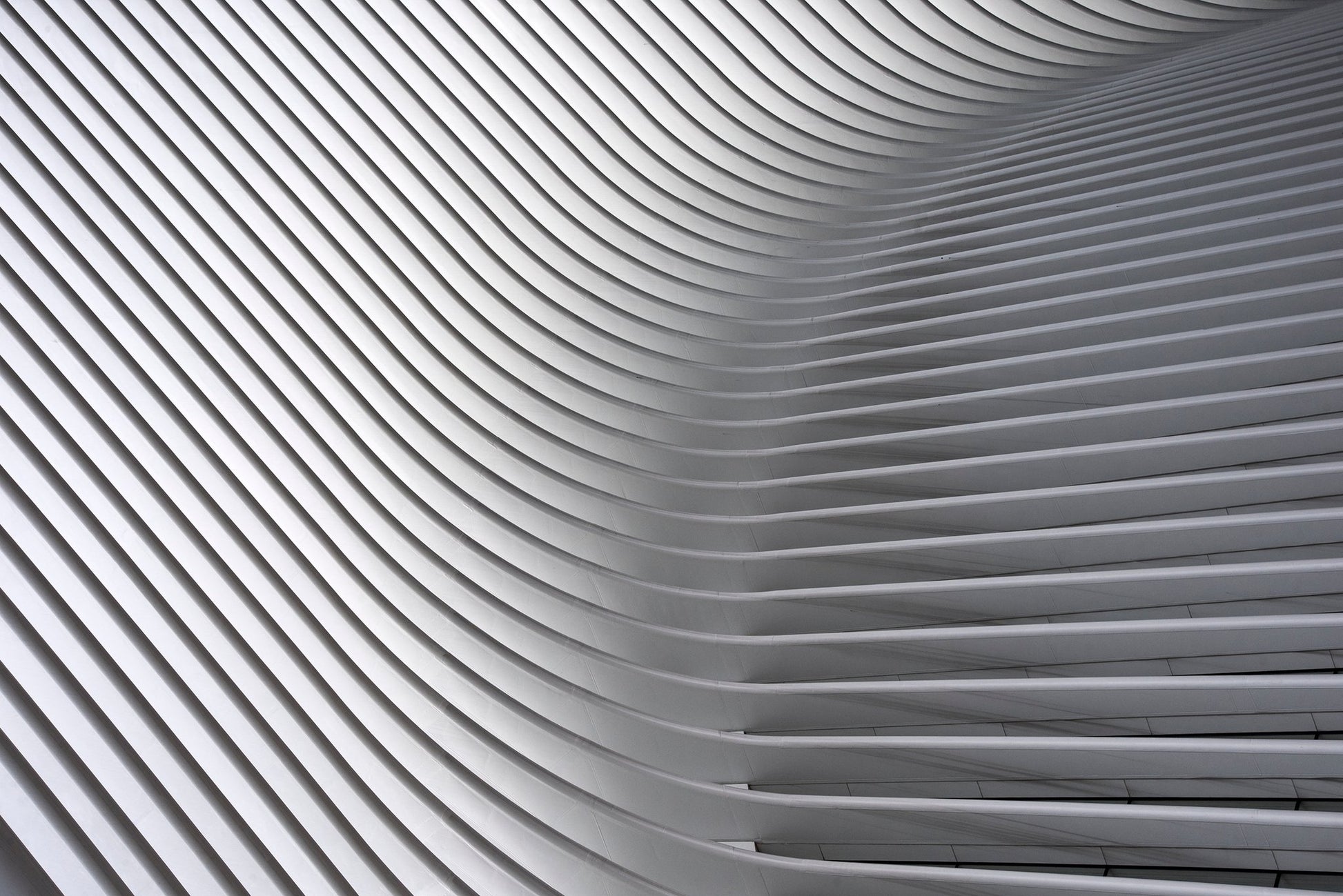 Calatrava Curves # 2 - Poster / Art Print