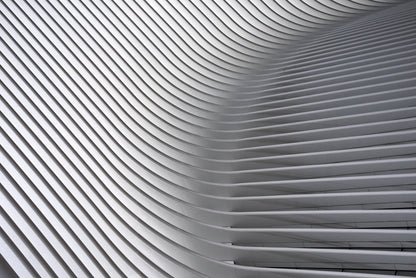 Calatrava Curves # 2 - Poster / Art Print