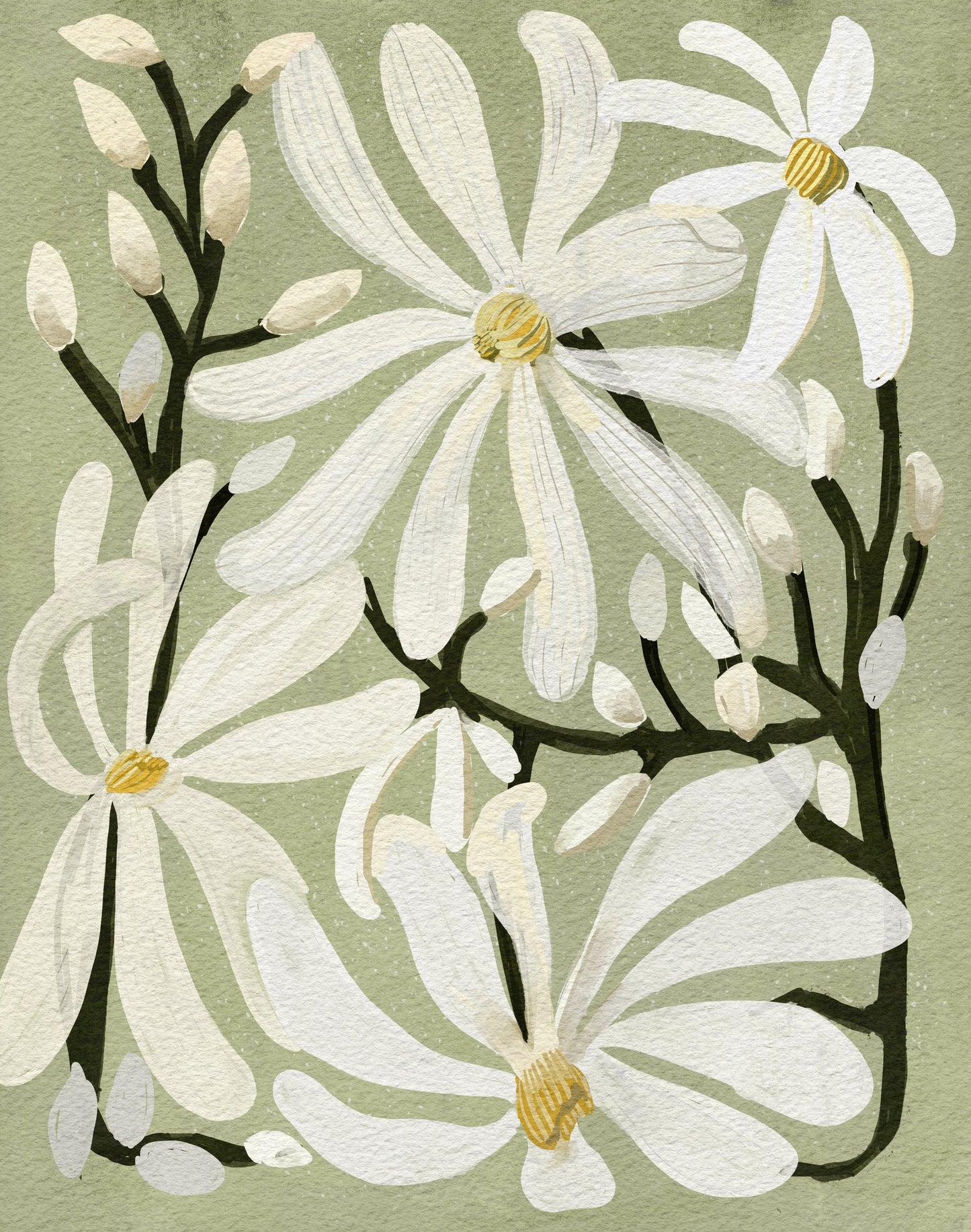 Star Magnolia Florals on Sage background - Poster / Art Print