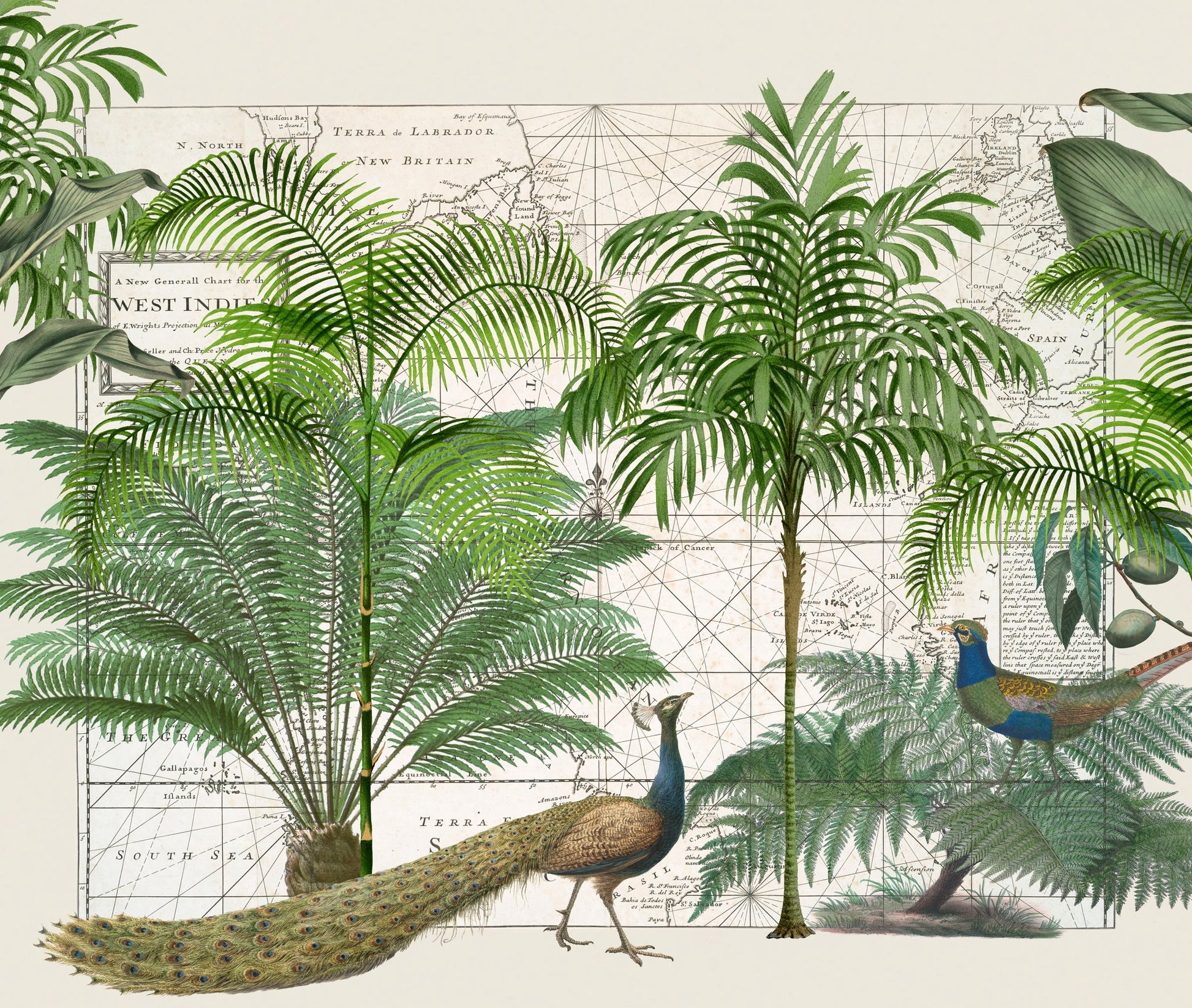 Tropical Empire No6 - Poster / Art Print