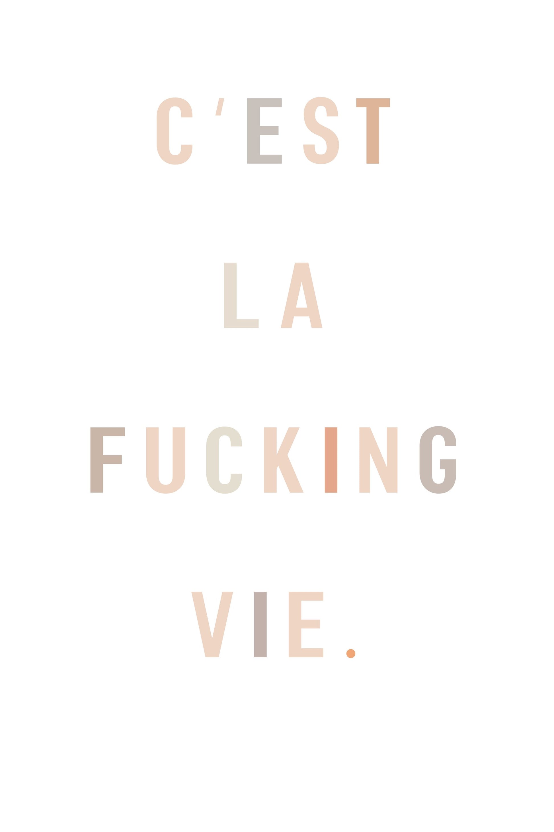 C'est la fucking vie - Poster / Art Print