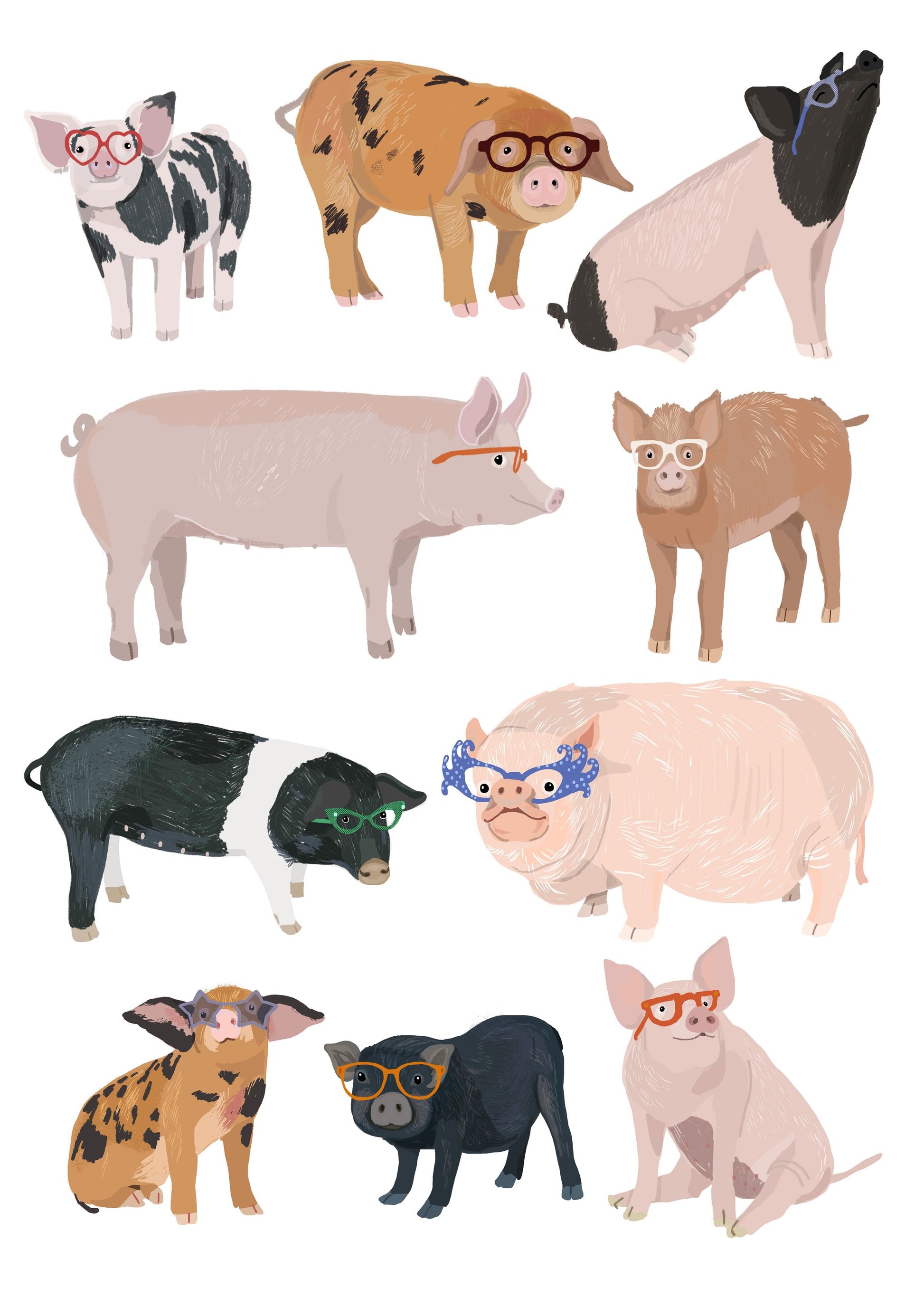 Pigs Glasses - Poster / Art Print