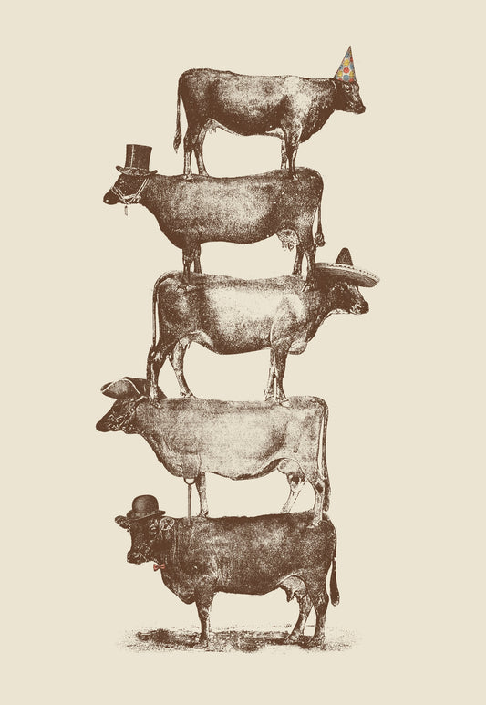 Cow Cow Nuts - Poster / Art Print