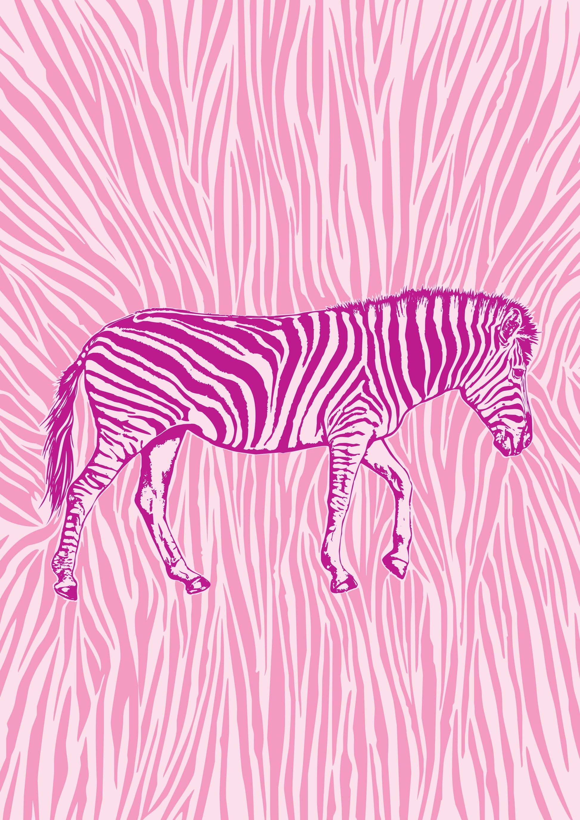 African Zebra striking camouflage - Poster / Art Print