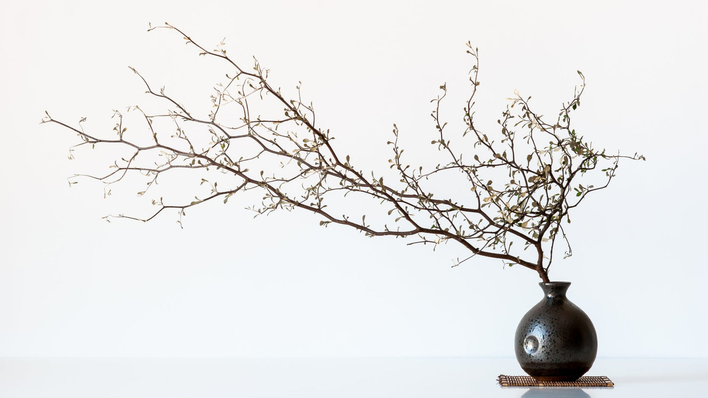 Vase And Branch - Poster / Art Print