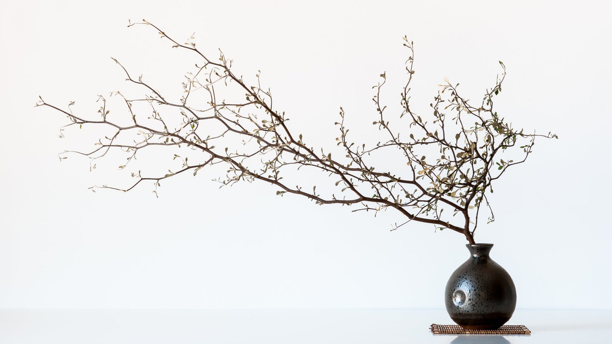 Vase And Branch - Poster / Art Print