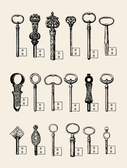 Usb Keys - Poster / Art Print