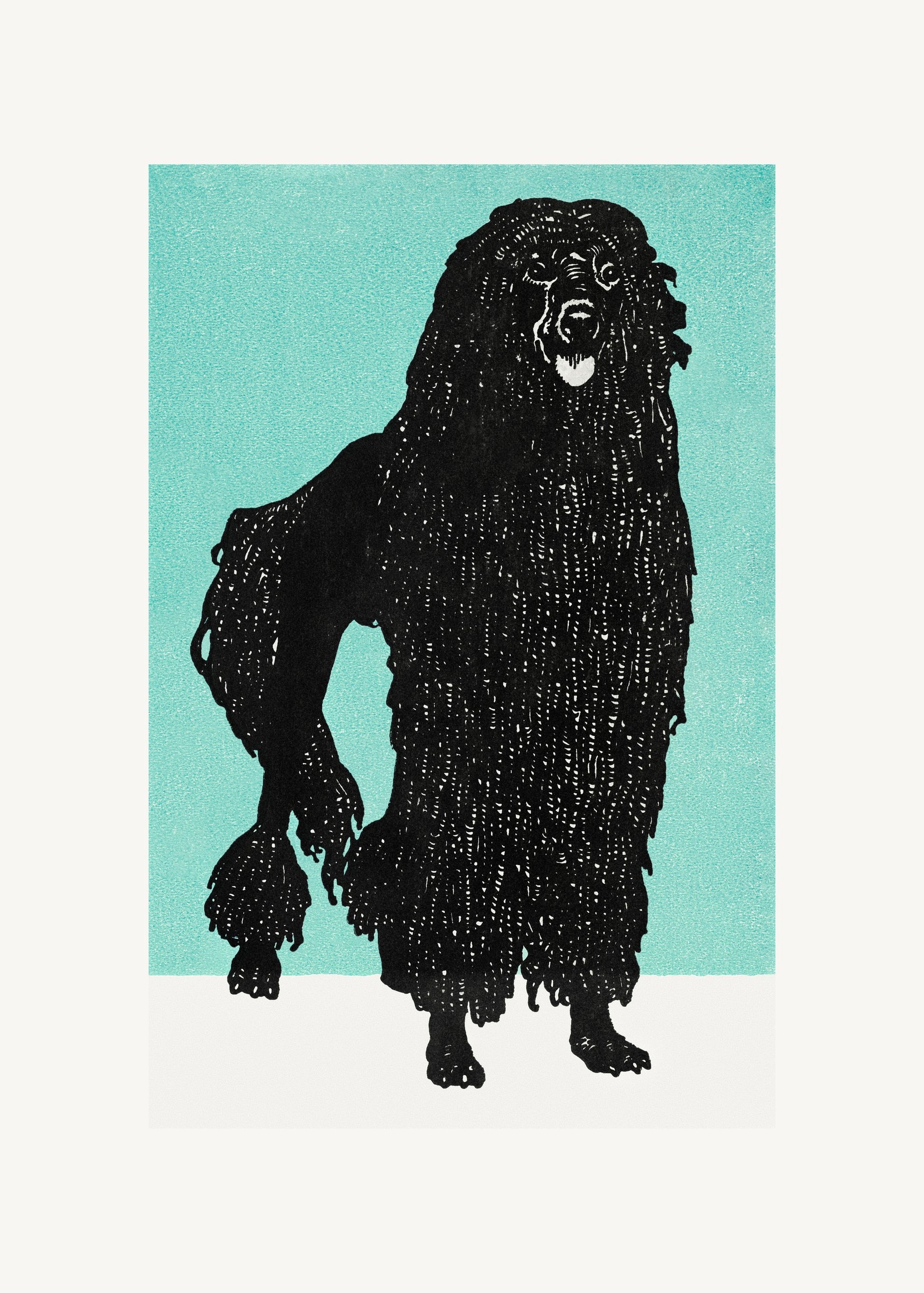 Poodle - Poster / Art Print