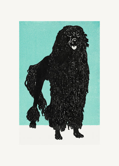 Poodle - Poster / Art Print