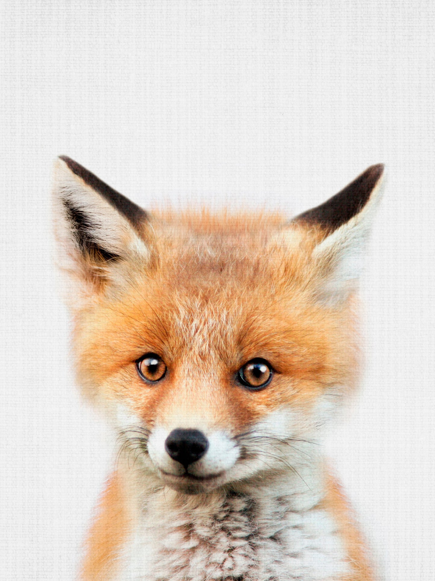 Peekaboo Baby Fox - Poster / Art Print