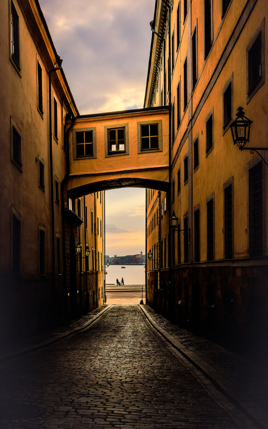 early morning - Poster / Art Print
