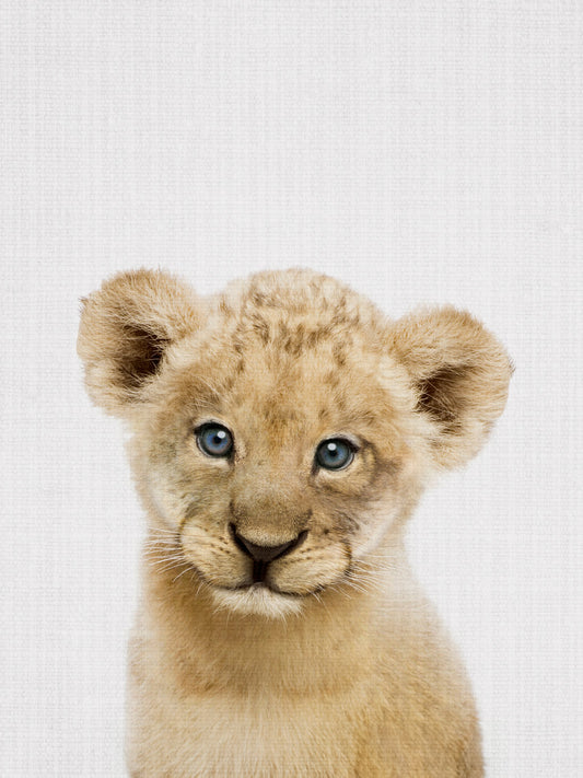 Peekaboo Baby Lion - Poster / Art Print