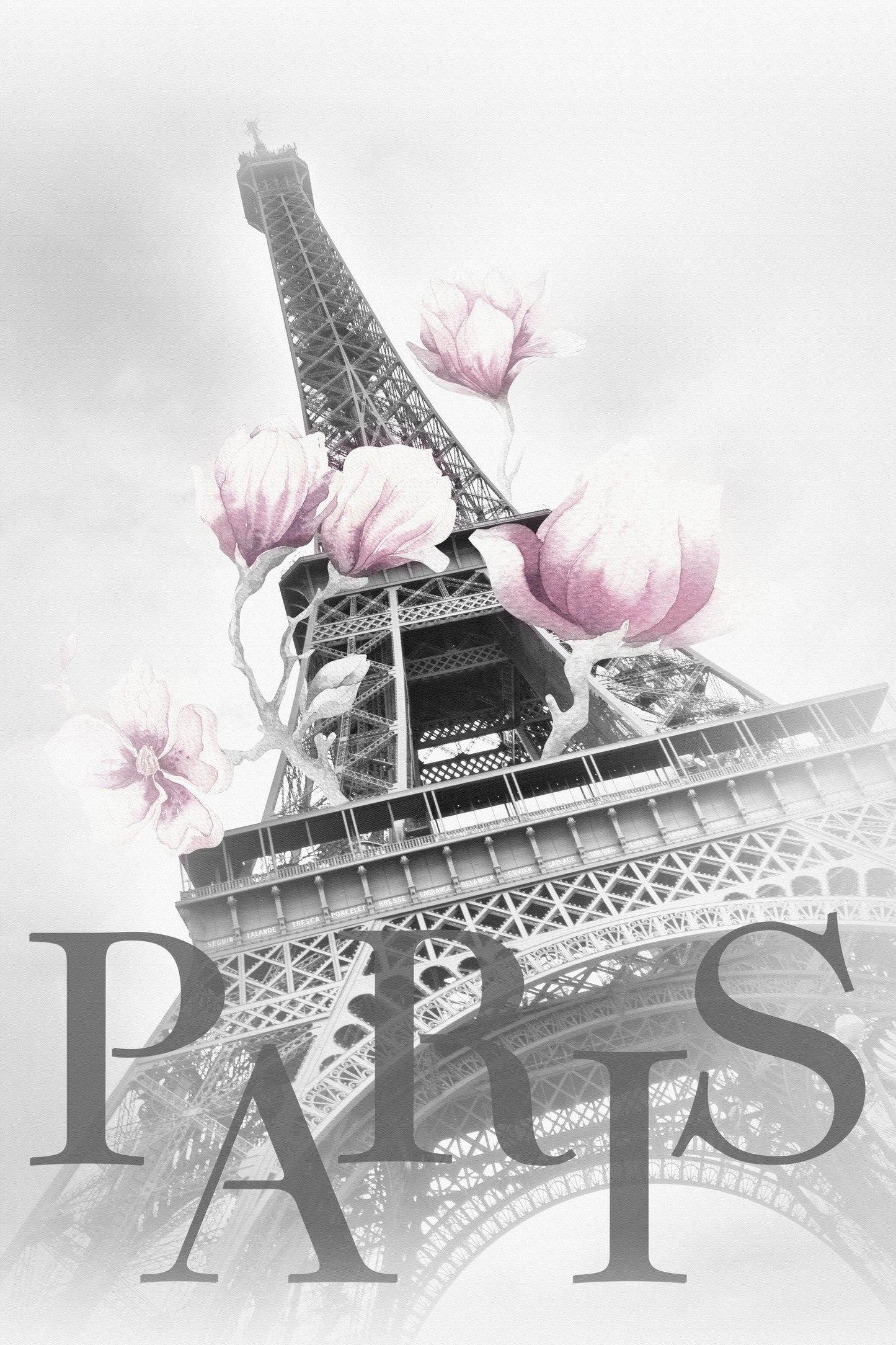 PARIS Magnolia Eiffel Tower - Poster / Art Print