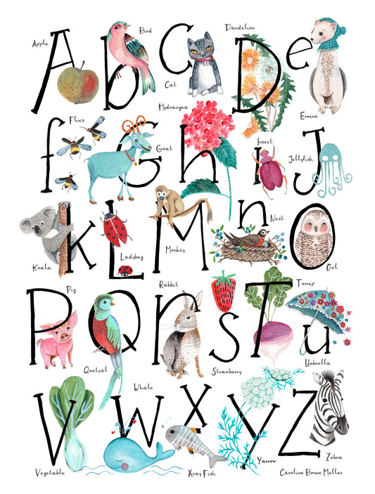 ABC illustration - Poster / Art Print