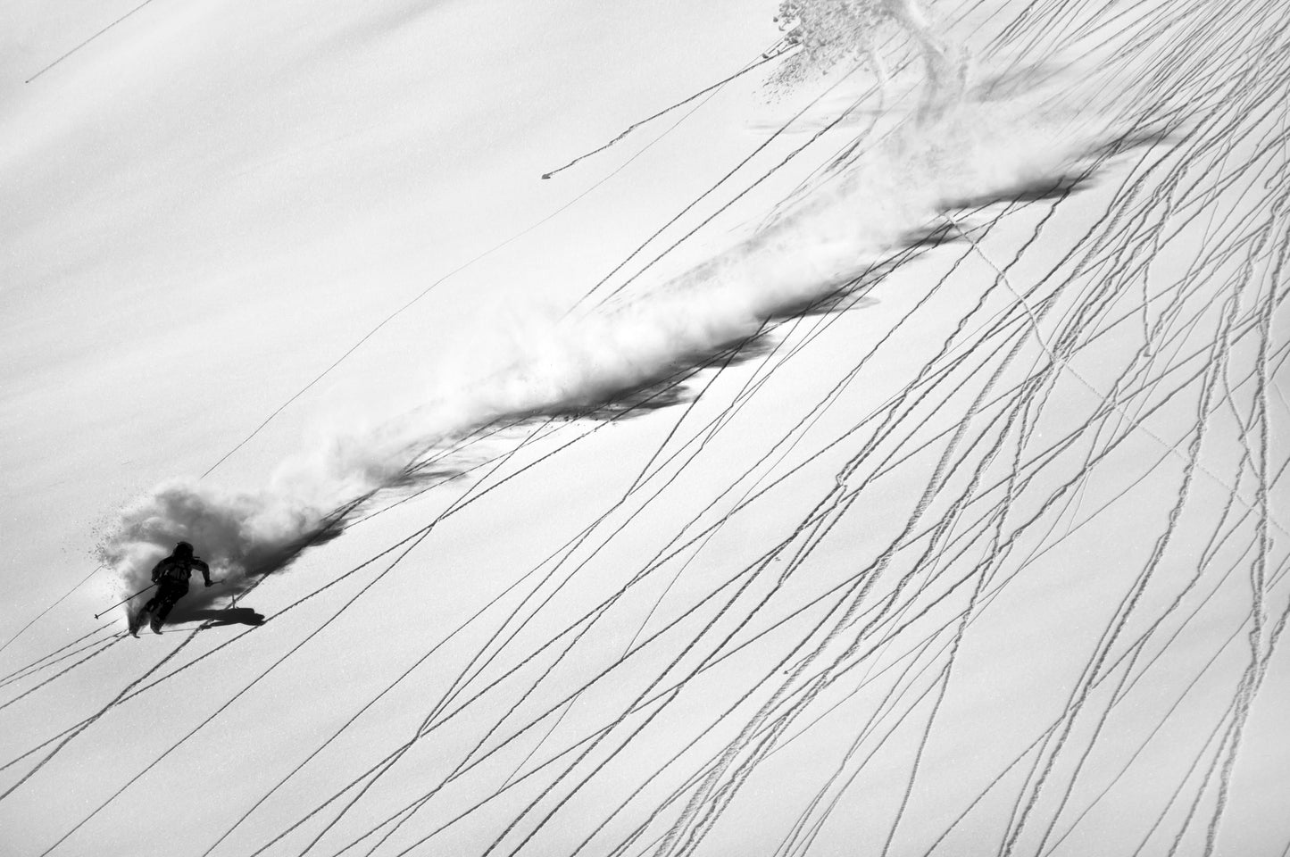 Skiing Powder - Poster / Art Print