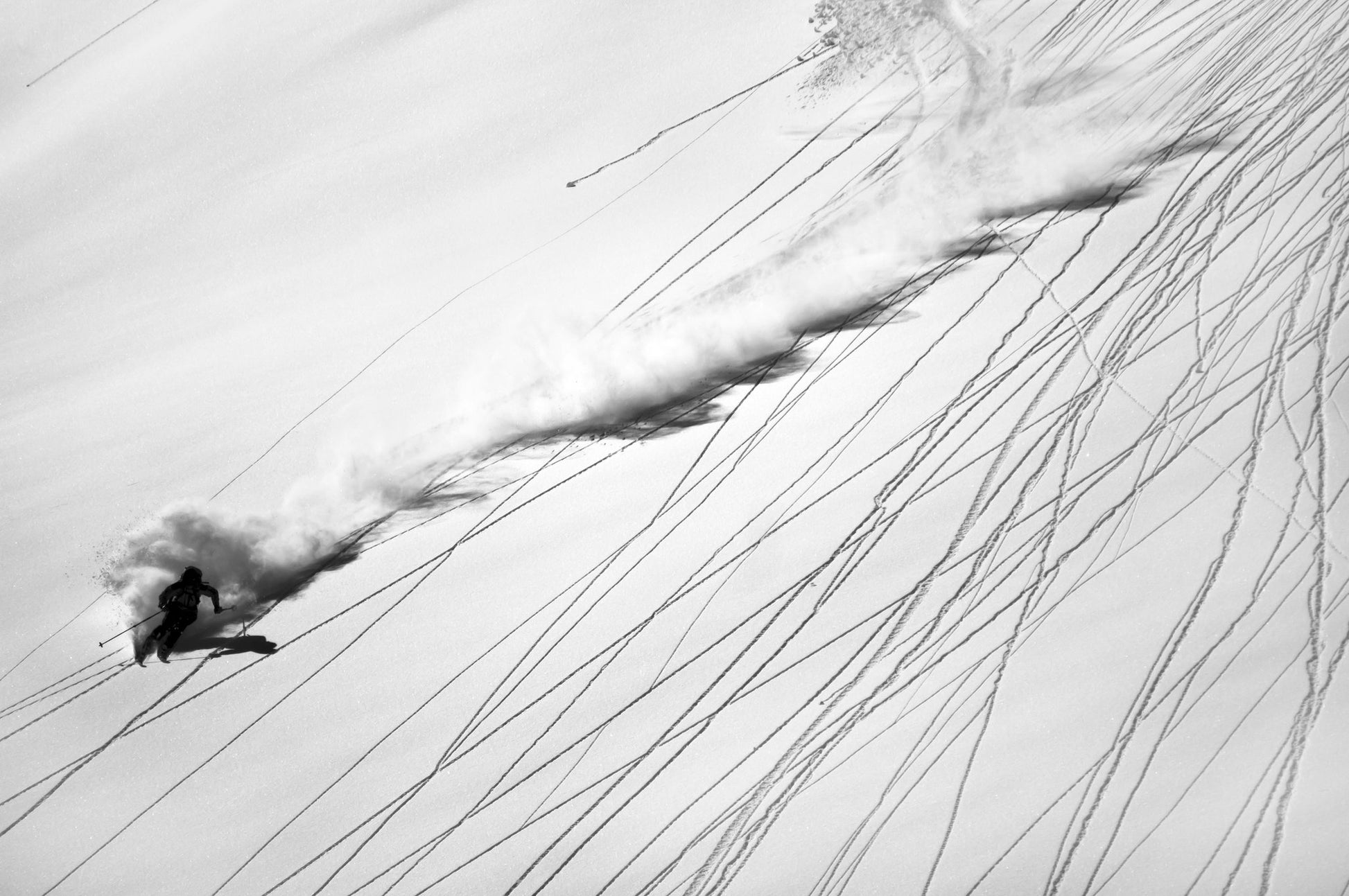 Skiing Powder - Poster / Art Print