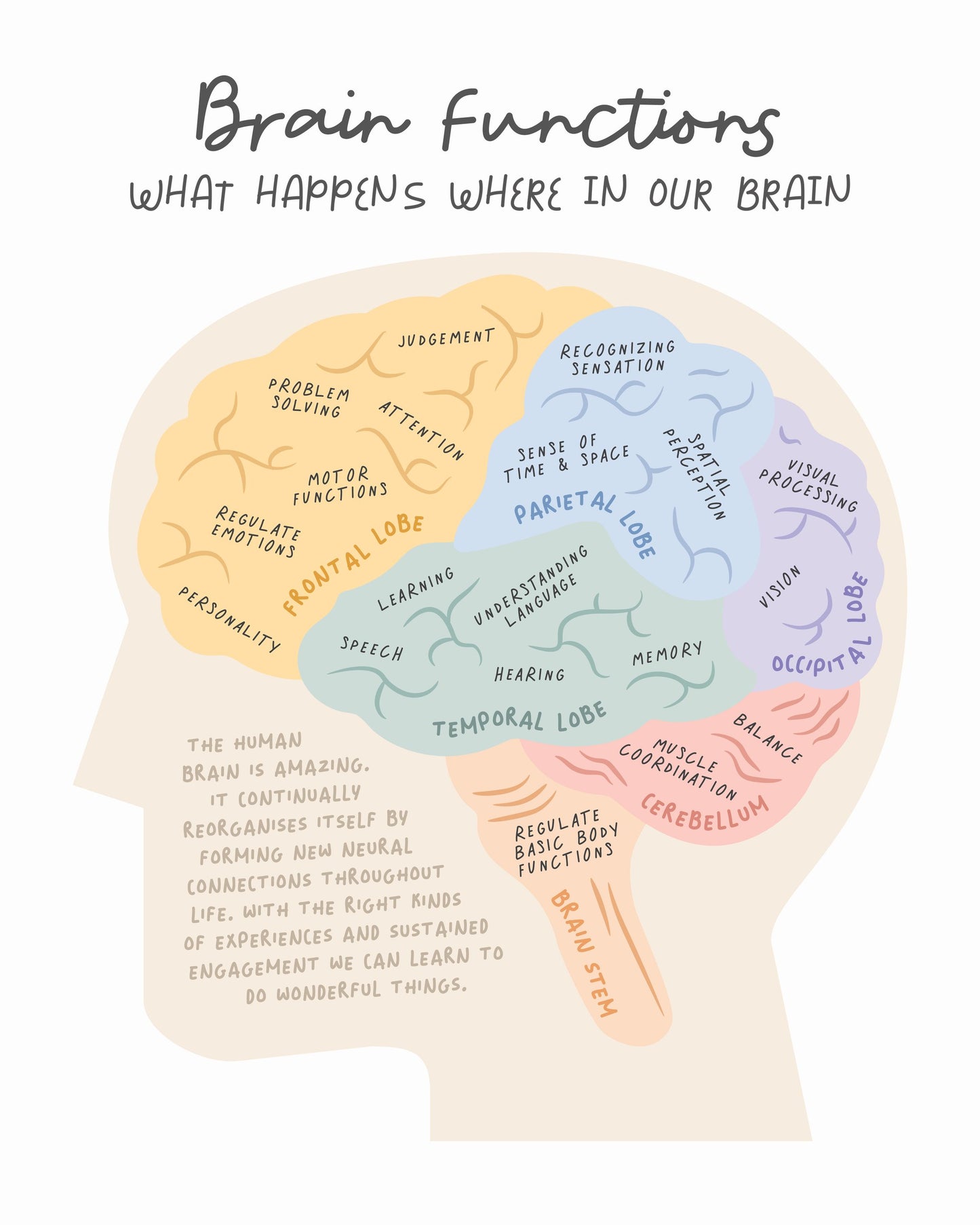 Brainfunctions - Poster / Art Print