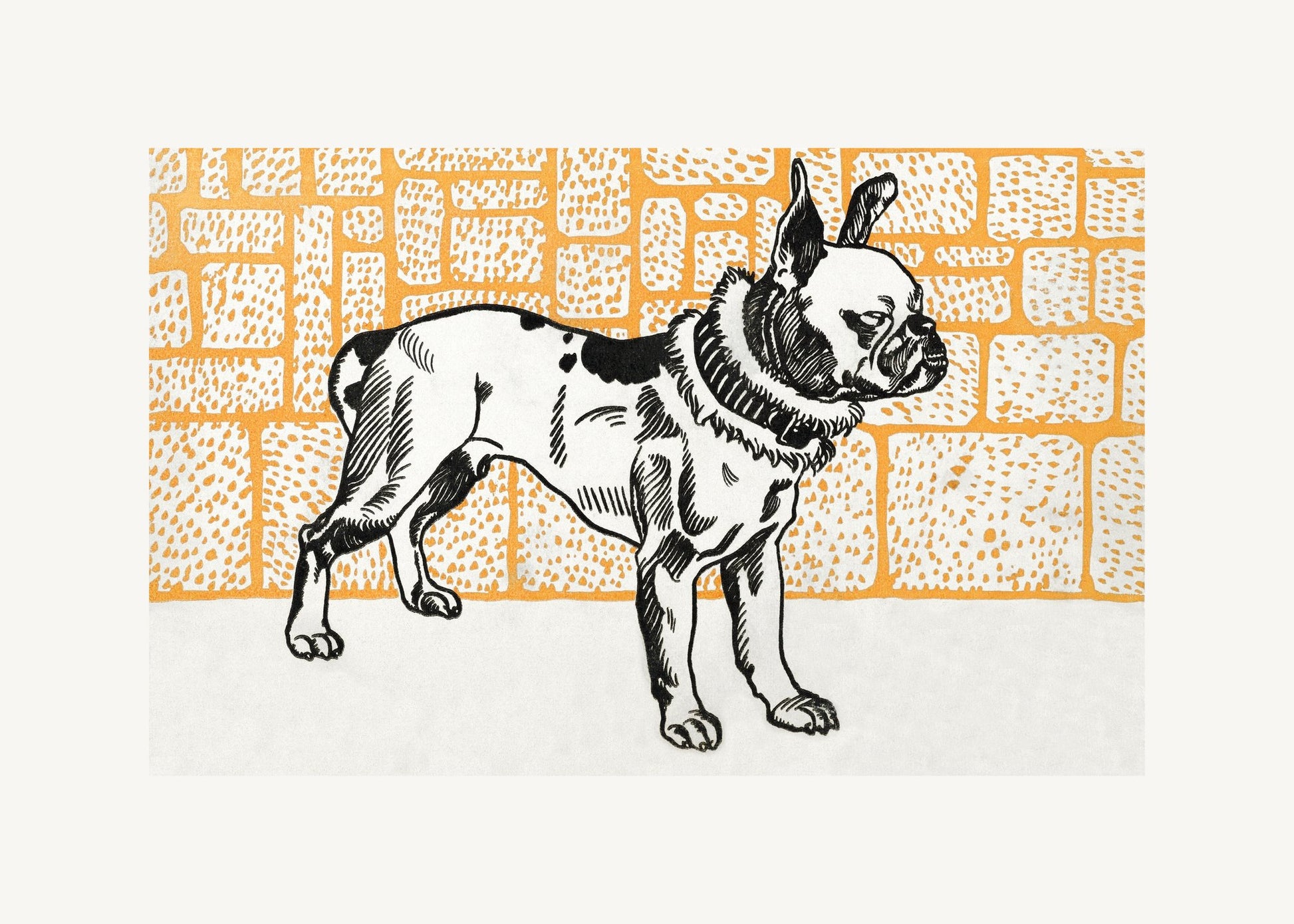 Pitbull Terrier - Poster / Art Print
