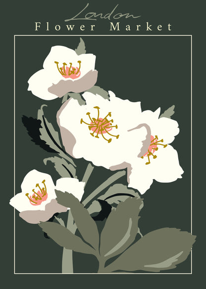 Flower Market London Hellebore - Poster / Art Print