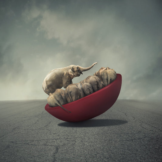 Life is a balance - Poster / Art Print