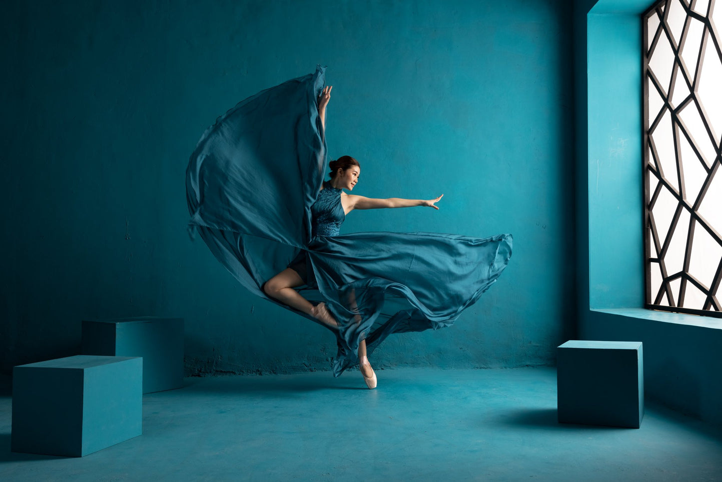 Ballerina - Poster / Art Print