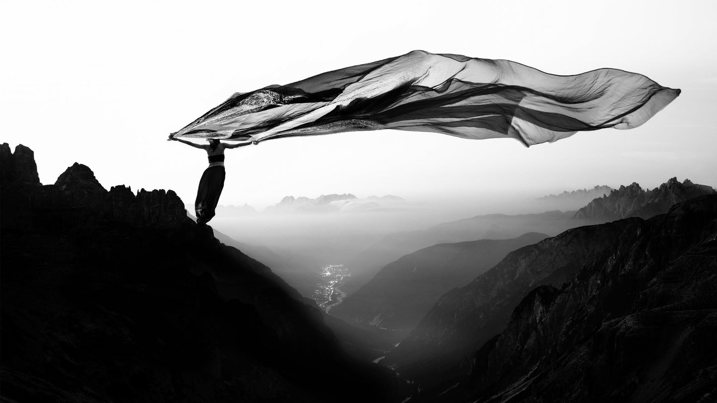 Free as the wind - Poster / Art Print