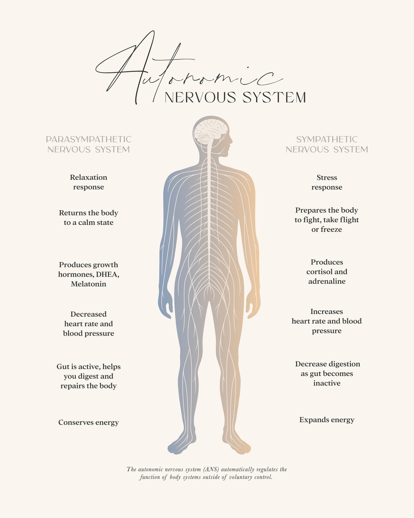 Ans - Poster / Art Print