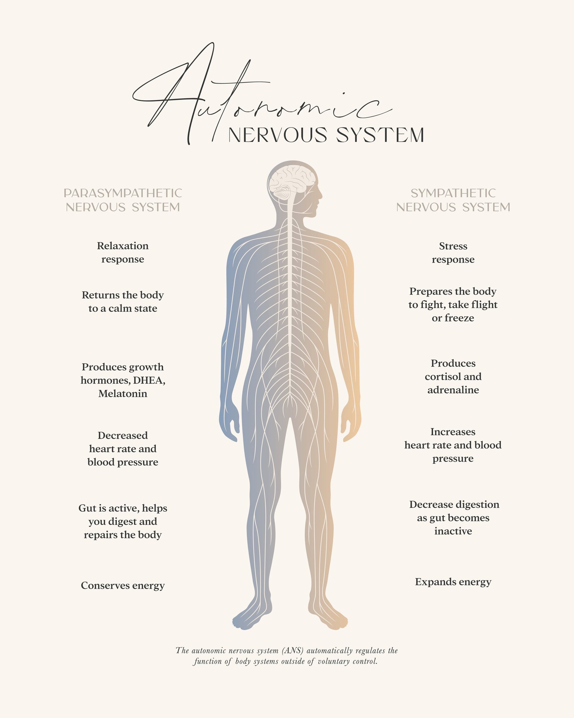 Ans - Poster / Art Print