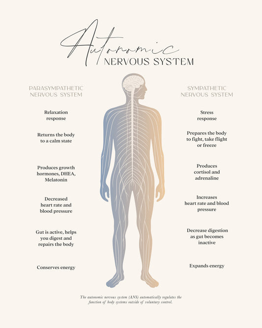 Ans - Poster / Art Print