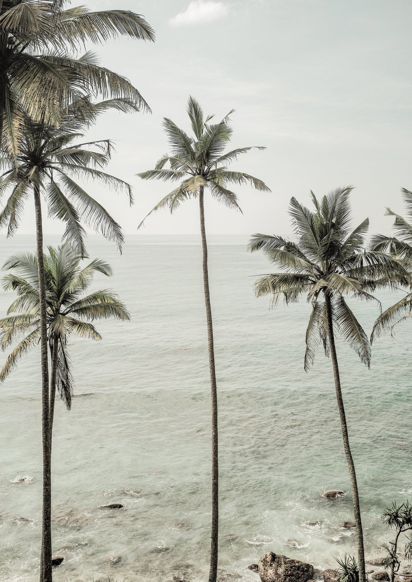 Tropical Dreams - Poster / Art Print