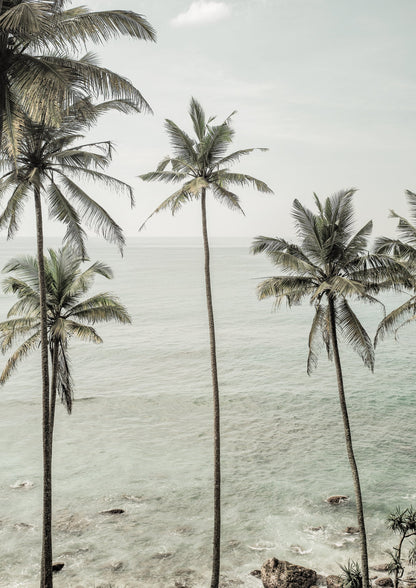 Tropical Dreams - Poster / Art Print