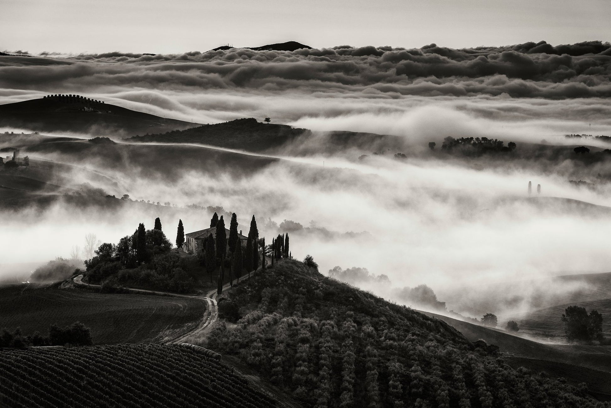 Tuscany - Poster / Art Print
