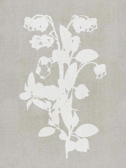 Botanical Illustration 4 - Poster / Art Print