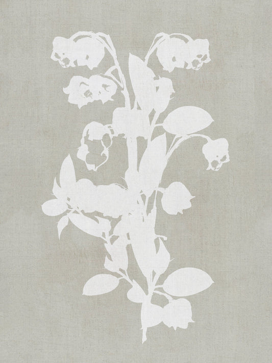 Botanical Illustration 4 - Poster / Art Print