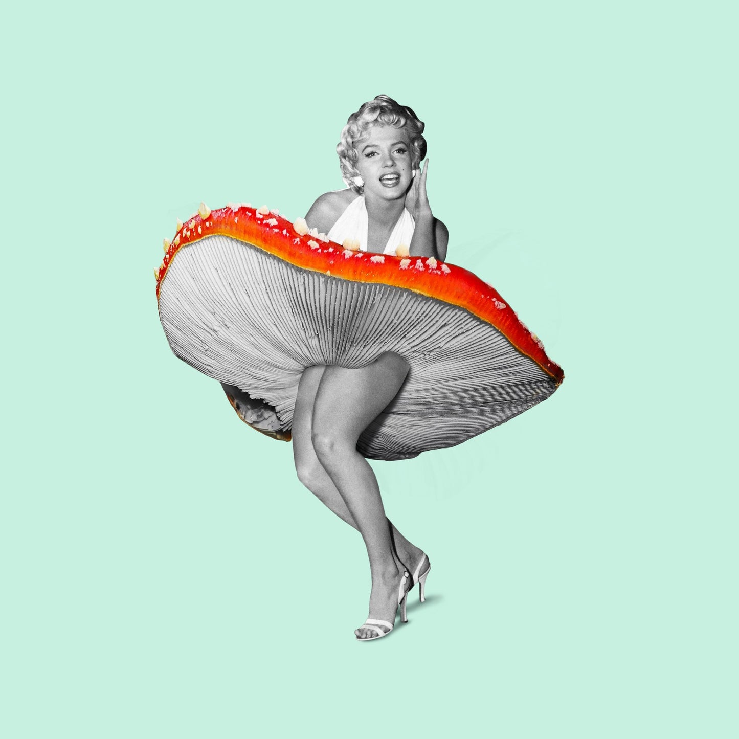 Happy Dress - Poster / Art Print