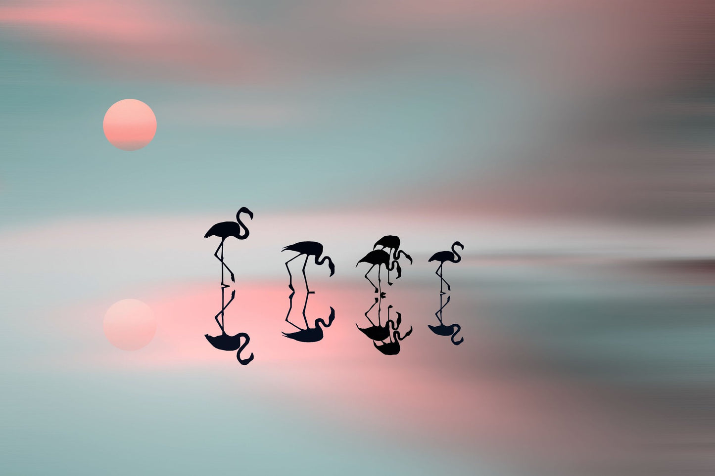 Family flamingos. - Poster / Art Print
