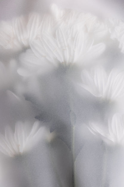 Blurred Flowers 6 - Poster / Art Print