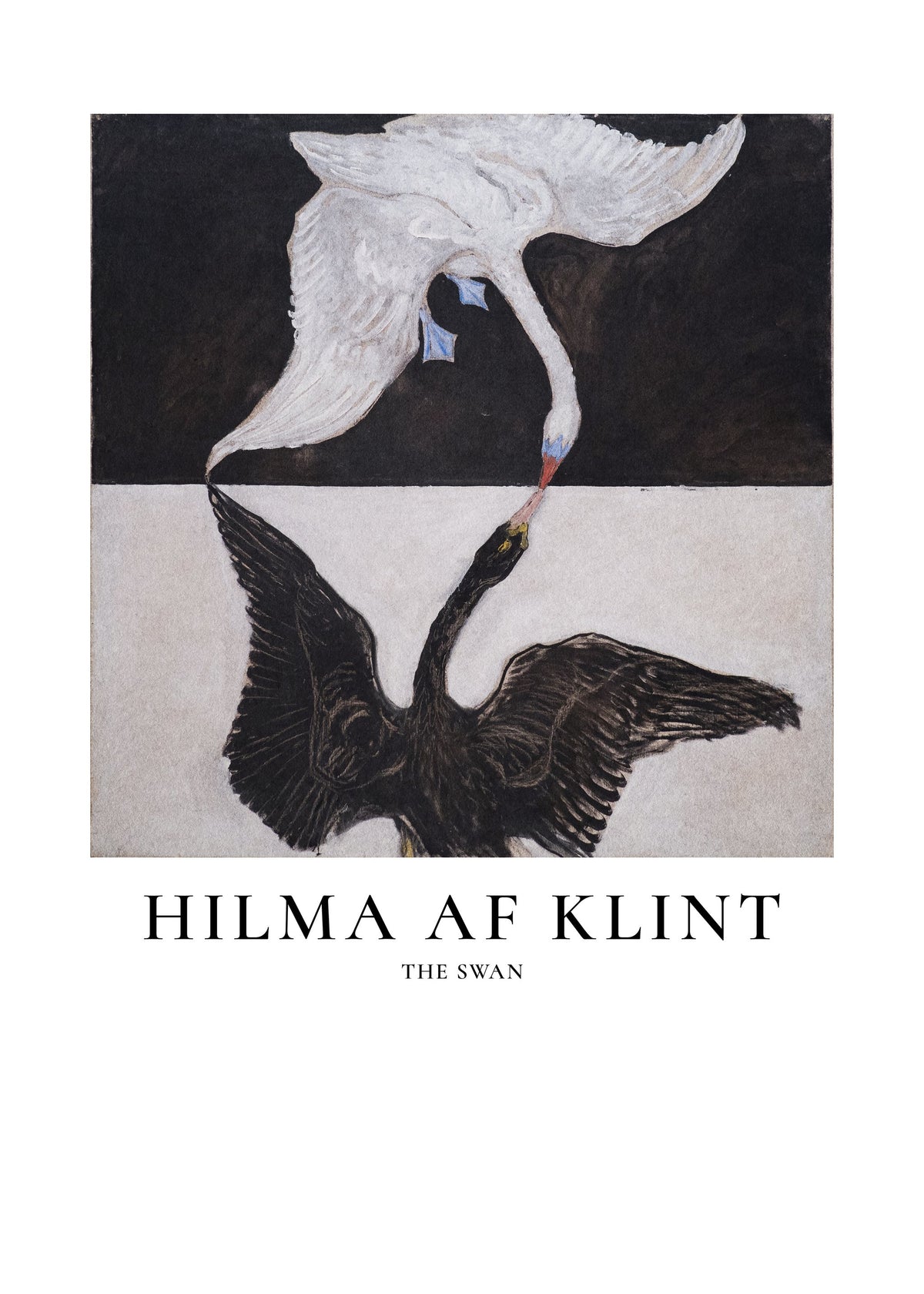 The Swan - Poster / Art Print