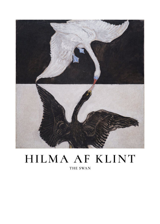 The Swan - Poster / Art Print