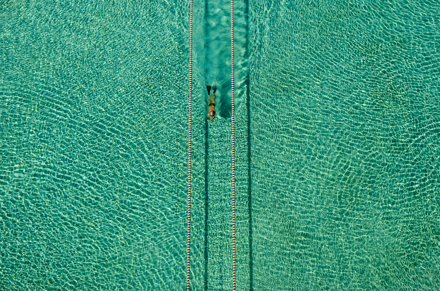 Swimmer - Poster / Art Print