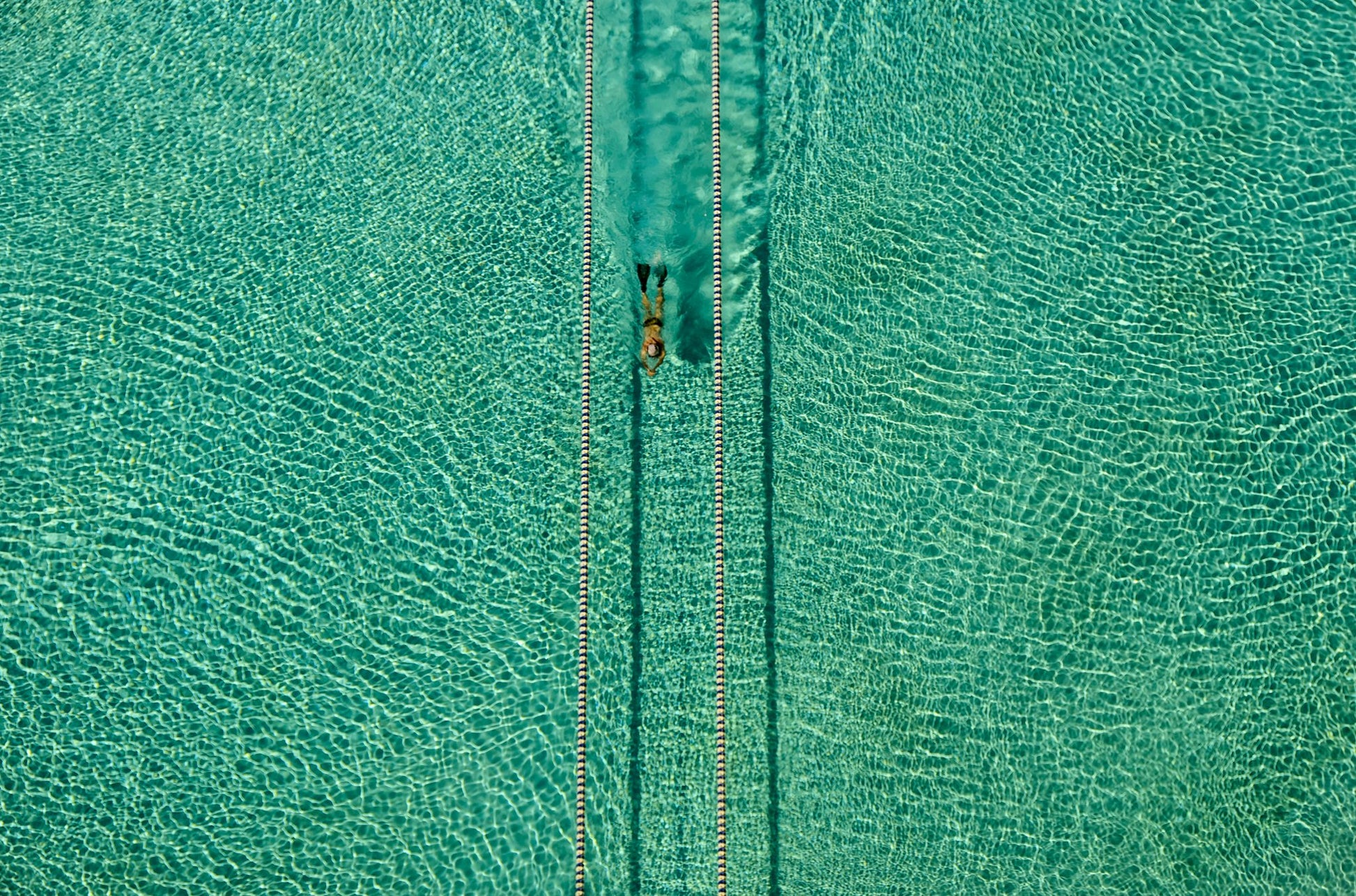 Swimmer - Poster / Art Print