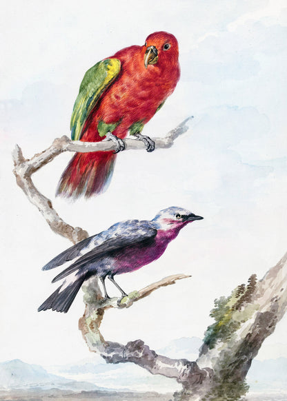Two Birds, Including a Red Green Parrot - Poster / Art Print