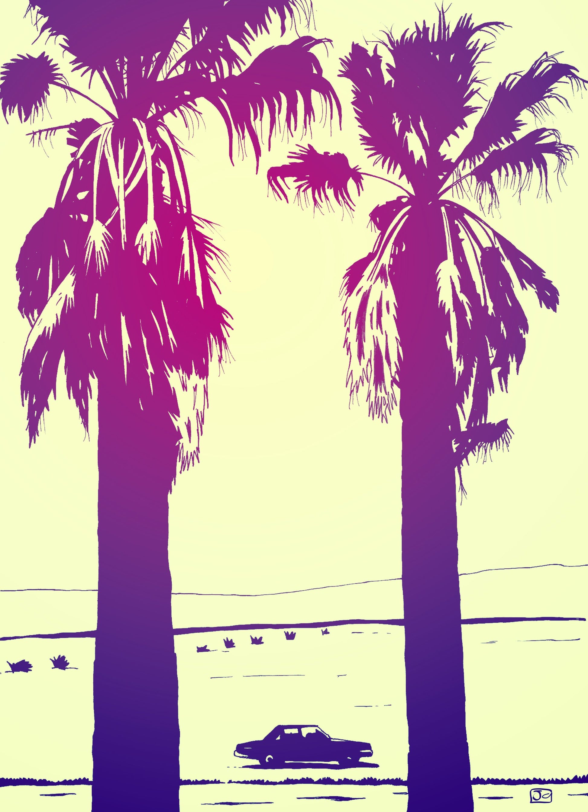 Palms - Poster / Art Print