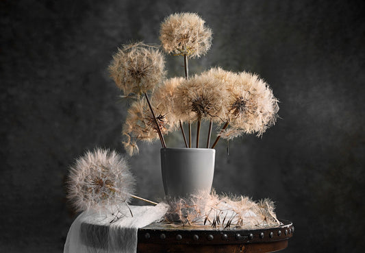 Dandelion Seed Pod - Poster / Art Print